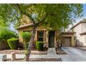 Tan two-story house with a tree in front at 7844 W Bonitos Dr, Phoenix, AZ 85035