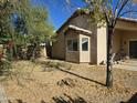 Landscaped backyard with mature trees and a patio at 1244 S Portland Ave, Gilbert, AZ 85296