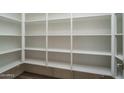 Large walk-in pantry with adjustable shelving at 2732 N 217Th Ave, Buckeye, AZ 85396