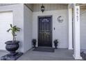 Front entrance with black door, security screen, and decorative planters at 8547 W Magnum Dr, Arizona City, AZ 85123