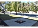 Landscaped front yard with trees and a stone accent at 431 W Knox Rd, Chandler, AZ 85225