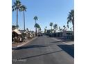 Palm tree-lined street in a mobile home community at 9302 E Broadway Rd # 103, Mesa, AZ 85208