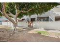 Front exterior view of condo with large tree at 2121 S Pennington Rd # 12, Mesa, AZ 85202