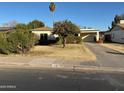 Ranch style home with a spacious front yard and mature trees at 178 W Harrison St, Chandler, AZ 85225