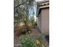 Landscaped side yard with desert plants and gravel at 7309 S 17Th Dr, Phoenix, AZ 85041