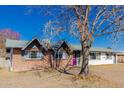 Brick and white ranch house with a purple front door and a mature tree in front at 936 E 8Th Pl, Mesa, AZ 85203