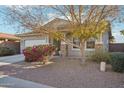 Charming one-story house with stone accents and well-maintained landscaping at 15081 N 176Th Ln, Surprise, AZ 85388