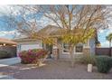 Single-story home with a two-car garage and mature trees in the front yard at 15081 N 176Th Ln, Surprise, AZ 85388