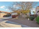 One-story house featuring a front yard with drought-tolerant landscaping at 15081 N 176Th Ln, Surprise, AZ 85388