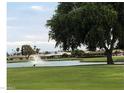 Serene pond view with fountain, lush green grass, and mature trees at 10161 W Pineaire Dr, Sun City, AZ 85351