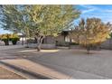 Mid-century modern home with mature trees and gravel landscaping at 3645 E Shaw Butte Dr, Phoenix, AZ 85028