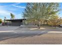 Mid-century modern home with a tree-lined street at 3645 E Shaw Butte Dr, Phoenix, AZ 85028