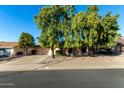 House exterior featuring a driveway and established trees at 6258 E Ivy St, Mesa, AZ 85205