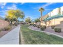 Concrete pathway winds through a grassy community area with trees and shrubs at 1015 S Val Vista Dr # 87, Mesa, AZ 85204