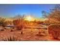 Community view with desert landscape and sunset at 13450 E Via Linda -- # 1010, Scottsdale, AZ 85259