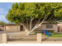 Single-story home with a large tree, driveway, and landscaped yard at 8644 E Roanoke Ave, Scottsdale, AZ 85257