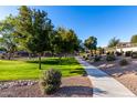 Scenic walking path, lush green grass, and mature trees in a community park setting at 25823 N 122Nd Ln, Peoria, AZ 85383