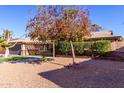 House exterior with mature trees and gravel landscaping at 709 N Williams --, Mesa, AZ 85203