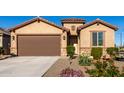 One-story home with brown garage door and landscaping at 27606 W Tonopah Dr, Buckeye, AZ 85396