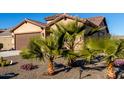 Front view of house with palm trees and gravel at 27606 W Tonopah Dr, Buckeye, AZ 85396