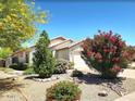 Charming single-story home with colorful desert landscaping and a well-manicured lawn at 10634 W Mohawk Ln, Peoria, AZ 85382