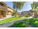 Community courtyard with grassy lawn, barbecue area, and seating at 1331 W Baseline Rd # 251, Mesa, AZ 85202