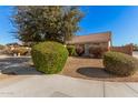 Landscaped front yard with mature shrubs and trees at 2605 S 80Th Ave, Phoenix, AZ 85043