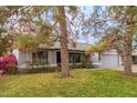 Landscaped front yard with mature trees enhances curb appeal of this charming home at 1427 E Irwin Ave, Phoenix, AZ 85042