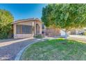 Brick house with a large tree and landscaped lawn at 12465 N 71St Ave, Peoria, AZ 85381