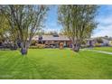 Ranch style home with mature landscaping and spacious lawn at 245 W Berridge Ln, Phoenix, AZ 85013