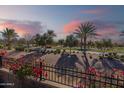Scenic view of a tree-lined street showcasing a well-maintained community, colorful bougainvillea, and desert landscaping at 267 E Santa Lucia Ln, Queen Creek, AZ 85140