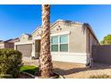 Front view of the house with a palm tree and well-maintained landscaping at 41844 W Rosa Dr, Maricopa, AZ 85138
