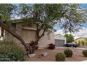 One-story house with a two-car garage and nicely landscaped yard at 14918 W Escondido Dr, Litchfield Park, AZ 85340