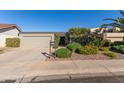 Mid-century modern home with a landscaped front yard at 1412 E Commodore Pl, Tempe, AZ 85283