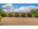 Backyard with gravel, desert landscaping, and distant mountain views at 11596 W Sierra Dawn Blvd # 357, Surprise, AZ 85378