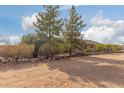 Ranch style home with rock wall accents and mature landscaping at 313 W Saddle Mountain Rd, Phoenix, AZ 85086