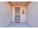 Front entry with glass door and southwestern decor at 42521 W Sea Eagle Dr, Maricopa, AZ 85138