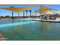 Community pool with shade structures and palm trees at 16019 W Avenida Del Sol --, Surprise, AZ 85387