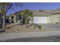 Single-story house with a white garage door and a palm tree in front at 40112 W Catherine Dr, Maricopa, AZ 85138