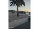 House exterior with palm tree and gravel landscaping at 6449 E Dodge St, Mesa, AZ 85205