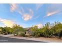 View of home from the street, showcasing desert landscaping at 9600 E Balancing Rock Rd, Scottsdale, AZ 85262