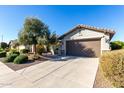 House exterior with a brown garage door and well-maintained landscaping at 21816 N 261St Ave, Buckeye, AZ 85396