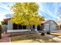 Three-car garage and front yard with mature tree at 917 E Betsy Ln, Gilbert, AZ 85296