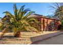 House exterior showcasing a palm tree and gravel landscaping at 16173 W Monroe St, Goodyear, AZ 85338