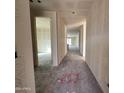 Interior hallway with access to other rooms in the house at 22852 E Lords Way, Queen Creek, AZ 85142