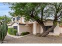 Two-story house with desert landscaping and a large tree near the entrance at 3034 N Ricardo --, Mesa, AZ 85215