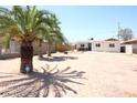 Nice curb appeal, spacious yard, and mature palm trees at 513 W Melrose Dr, Casa Grande, AZ 85122