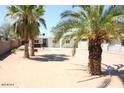 Charming house with a large front yard and mature palm trees at 513 W Melrose Dr, Casa Grande, AZ 85122