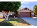 Front yard view of a single-story house with a large tree and a well-maintained lawn at 8605 W Paradise Dr, Peoria, AZ 85345