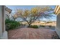 Spacious patio with terracotta tiles, offering a view of the desert landscape at 14845 S 31St Way, Phoenix, AZ 85048